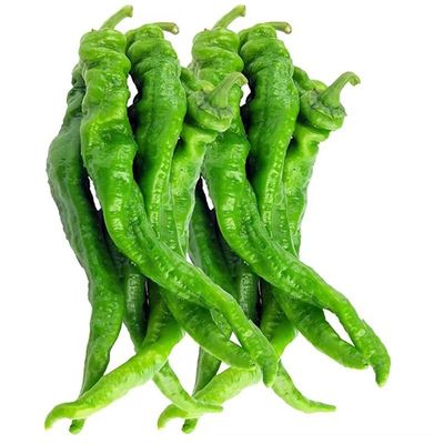 新鲜龙椒螺丝胶产地直发