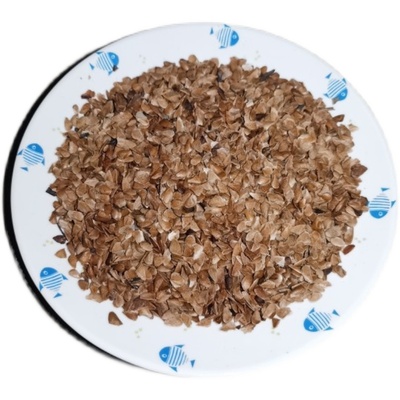 香椿籽芽苗菜种子水培种菜香椿