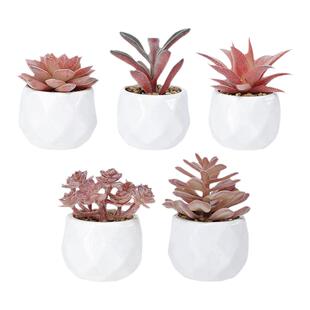 仿真多肉植物假花仿真花摆设桌面装饰小摆件假多肉盆景绿植小盆栽