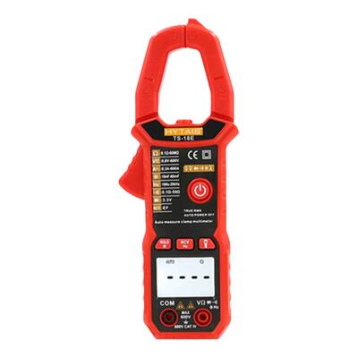 泰圣仪器仪表全自动语音播报