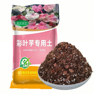 彩叶芋专用土盆栽种植土天南星科植物通用型营养土进口泥炭土肥料