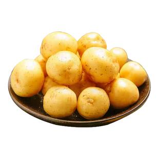贵州威宁新土豆黄心土豆发土豆仔农家自种马铃薯新洋芋现挖现发