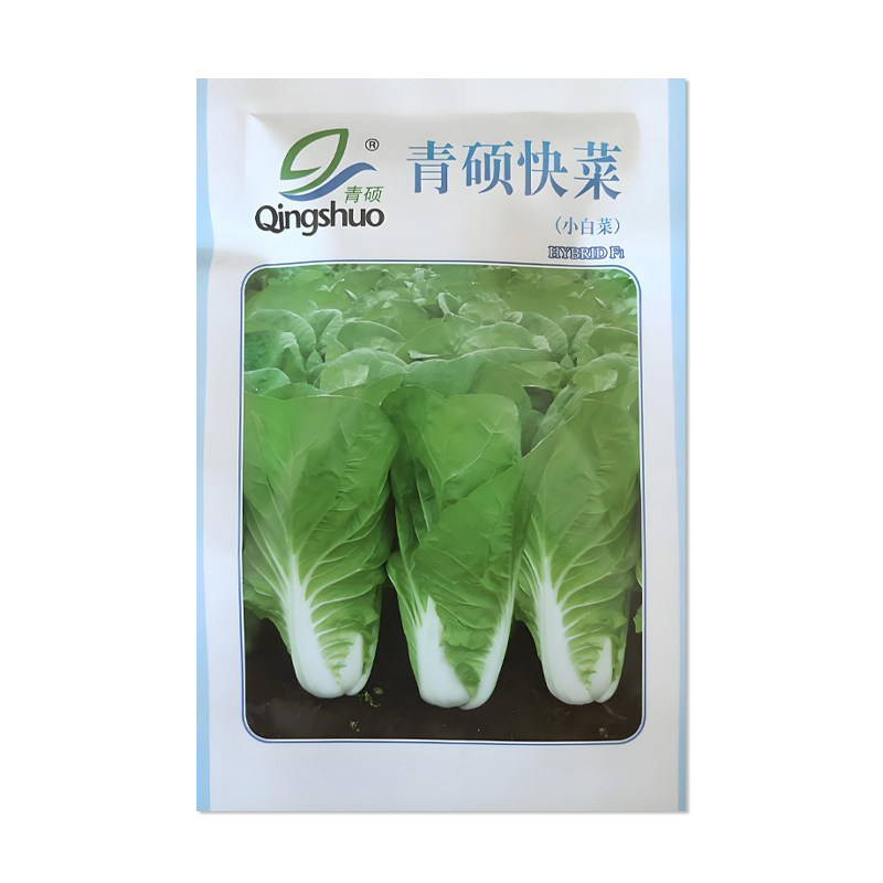 青硕快菜种子小白菜种子
