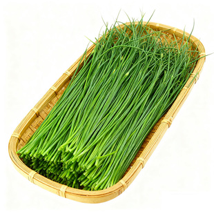 沙葱新鲜蔬菜民勤特产蒙古韭野菜顺丰包邮送货上门火锅食材腌酸菜