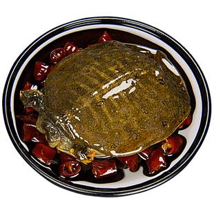 卤甲鱼麻辣小甲鱼团鱼水鱼王八鲜活现做卤味熟食开袋即食甲鱼肉