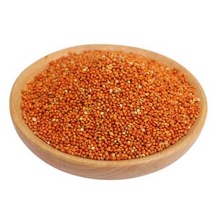 鹦鹉鸟粮饲料带壳红谷子5斤冬季鸟食虎皮牡丹文鸟玄风鹦鹉专用粮