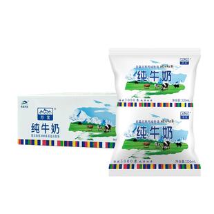 青藏高原祁宝纯牛奶祁连山青海牛奶儿童老人孕妇学生营业早餐鲜奶