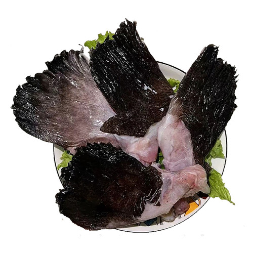 安康鱼