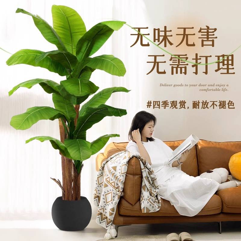大型仿真植物盆栽客厅摆件落地芭蕉室内造景假假绿树大叶子植树花