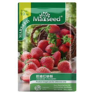 【新品合集】2026年MARSEED稀有蔬果南瓜茄子西瓜番茄辣椒种子籽