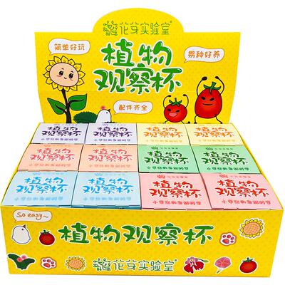IAM儿童凤仙花透明观察杯套装