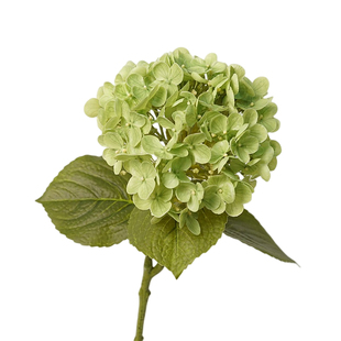 手感保湿绣球花西洋大绣球小清新仿真花艺客厅餐桌花家居装饰假花