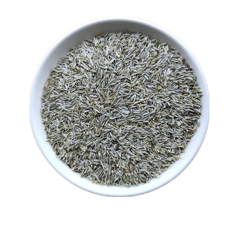 生菜籽中药材生菜子莴苣子白巨胜
