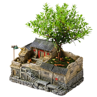 文竹盆景植物室内小盆栽客厅办公室桌面微景观造景老房子模型摆件