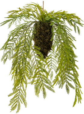 仿真蕨类植物吊球吊饰掬涵装饰