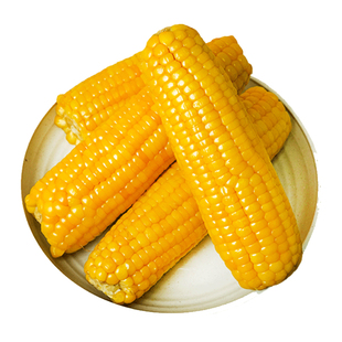 2025头茬新鲜东北黄糯玉米黑玉米真空包装粘苞米粒加热即食代早餐