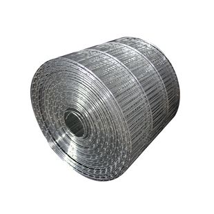 铁丝网长孔镀锌钢丝网电焊网养殖网鸡鸽兔笼用网鸟笼网围栏防护网
