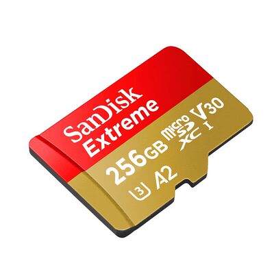 闪迪256g高速内存卡支持DJI大疆OSMO pokert3 action4/5pro/6系列运动相机高速tf 无人机存储卡4K拍摄配件