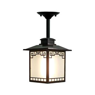 室外凉亭防水吊灯户外走廊庭院阳光房中式亭子别墅阳台灯吸顶灯具