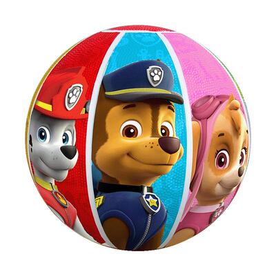 汪汪队儿童篮球2-5号防滑耐磨球