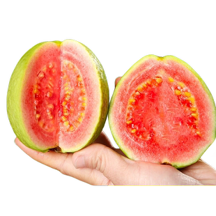 番石榴树果苗红心芭乐树苗南方种植庭院盆栽地栽四季果树当年结果