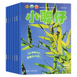1-3月现货【全年/半年订阅】小聪仔科普版杂志2026年1-12月2-8岁幼儿智力开发少儿阅读儿童故事家长亲子教育自然百科2025/2024过刊