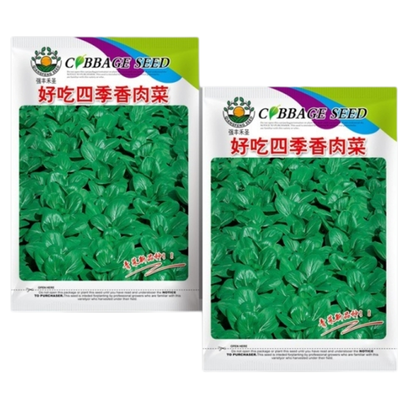 新品种北京香肉菜 原装35天可采收耐寒耐热 春秋四季农家青菜蔬菜