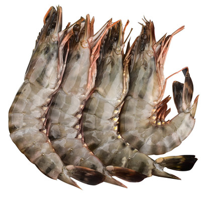 虾有虾途特大黑虎虾鲜活速冻保鲜