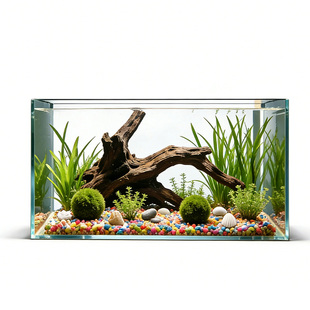 2025新款金晶超白玻璃鱼缸金鱼专用溪流缸小型客厅桌面家用乌龟缸