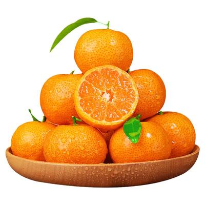 现摘！正宗广西砂糖橘！甜蜜多汁