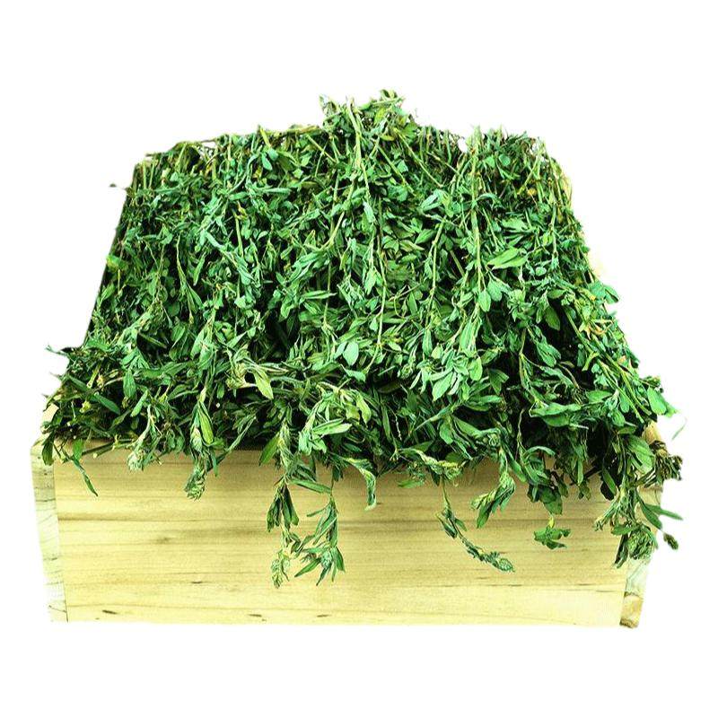 26年新草烘干苜蓿草幼兔粮兔子草