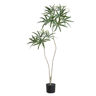 大型仿真绿植孔雀木室内客厅落地装饰花高级仿生植物盆栽盆景摆件