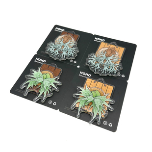 HOHO原创·植物热植磁吸冰箱贴创意DIY可换板鹿角蕨冰箱贴