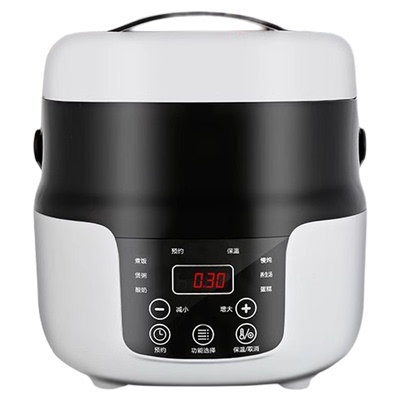 车载电饭煲12V24V220V车家两用