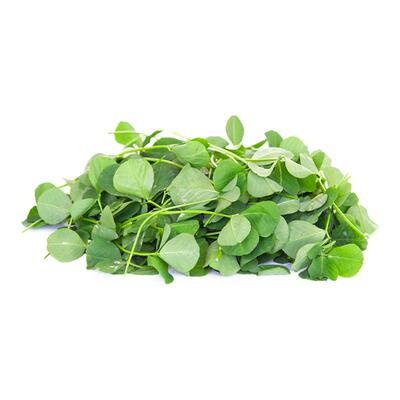 新鲜草头金花菜三叶菜