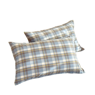 全棉水洗棉枕套一对装100纯棉枕头套48cmx74cm双人乳胶枕芯内胆套