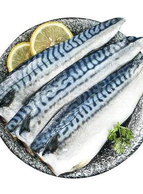 大片青花鱼日料烧烤同款肉质紧实