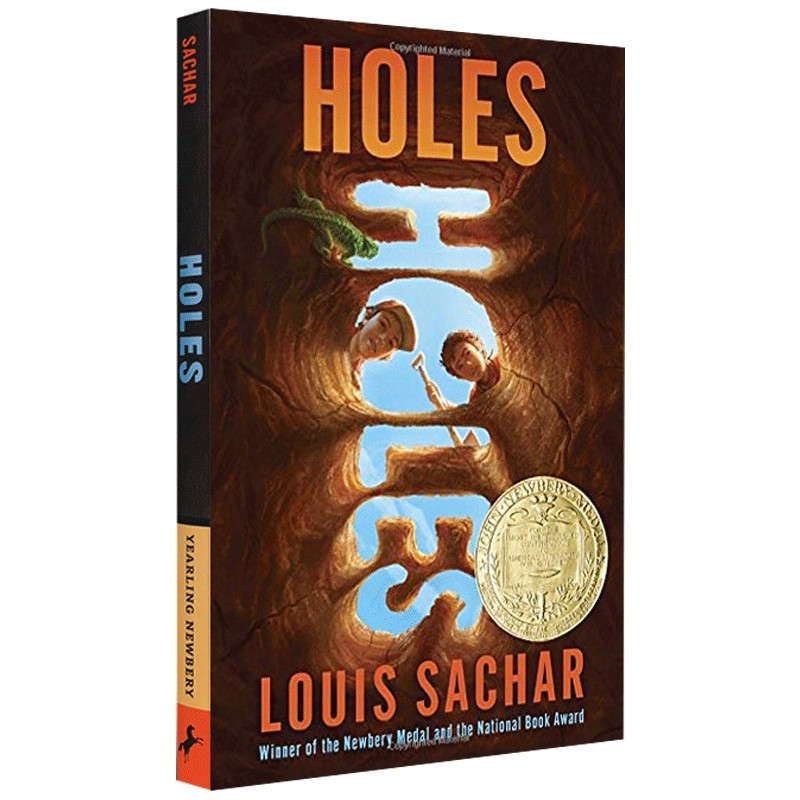 正版 Holes别有洞天洞英文原版小说纽伯瑞儿童文学奖Louis Sachar青少年儿童故事书英文原著搭夏洛特的网奇迹男孩wonder_虎窝淘