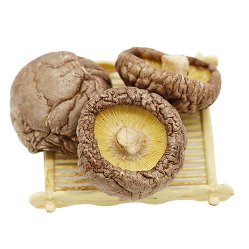 农家特级椴木野生蘑菇商用冬菇