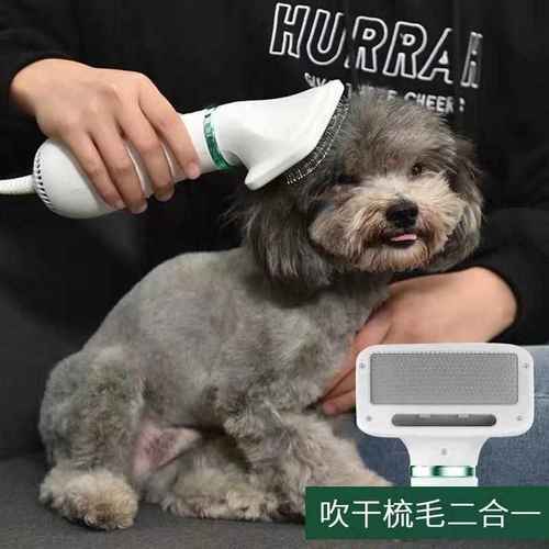 宠物电吹风机洗澡神器 吹毛烘干速干静音 狗狗猫咪用 多色可选