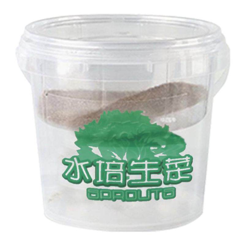 diy小学校水培伴手礼儿童种植