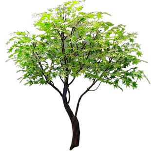 精品仿真青枫树室内大型鸡爪槭枫树酒店假树景观绿植造景植物装饰