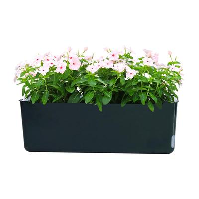 塑料北欧简约风储水免浇水花盆