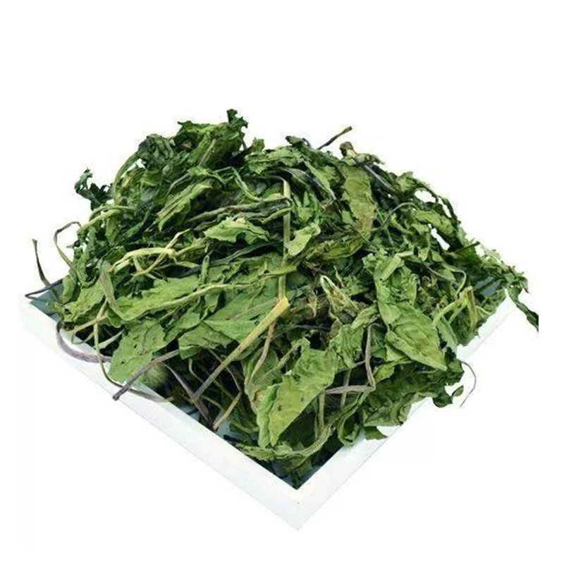 雾兔烘干蒲公英新鲜叶子兔粮牧草