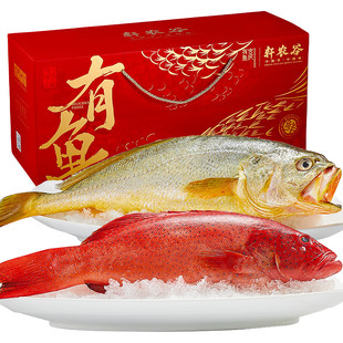 高档东星斑大黄鱼海鲜礼盒大礼包深海新鲜冷冻舟山年货特产春节