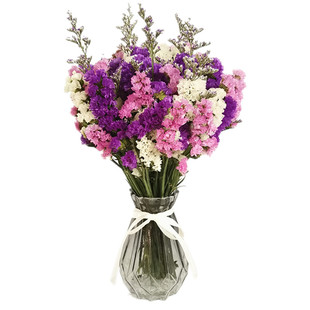 云南真花勿忘我毕业干花花束家居摆设满天星装饰摆件带花瓶风干送