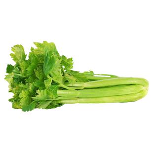 马家沟芹菜种子种籽芹菜阳台菜种四季盆栽籽种蔬菜孑菜籽老品种