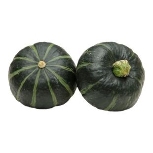 惠和一号贝贝南瓜板栗味正宗贝贝南瓜粉糯香甜小南瓜宝宝辅食新鲜