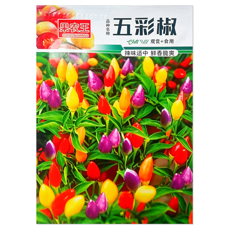 五彩椒种子辣椒种子观赏食用
