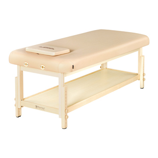 名腾Master拉格古娜美容院专用美容床按摩床高档spa床正骨推拿床